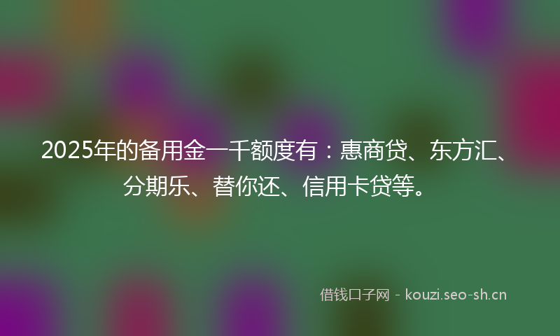 2025年的备用金一千额度有：惠商贷、东方汇、分期乐、替你还、信用卡贷等。