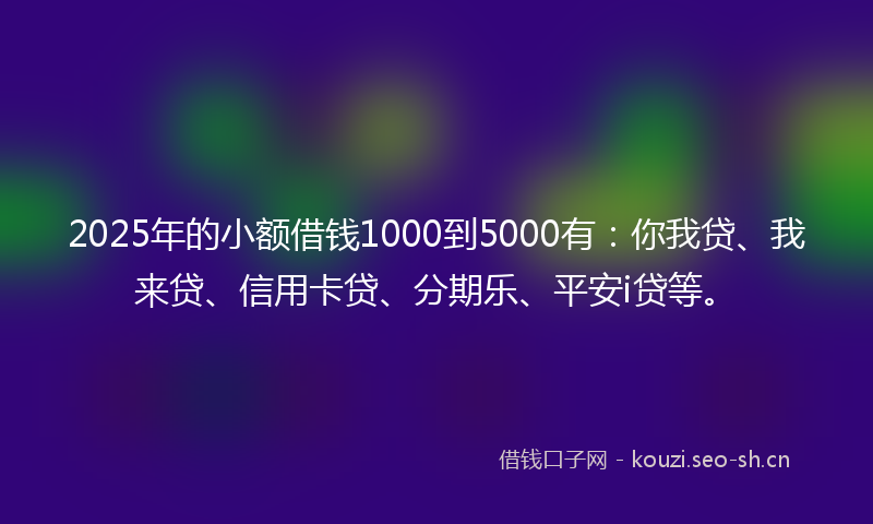 2025年的小额借钱1000到5000有：你我贷、我来贷、信用卡贷、分期乐、平安i贷等。