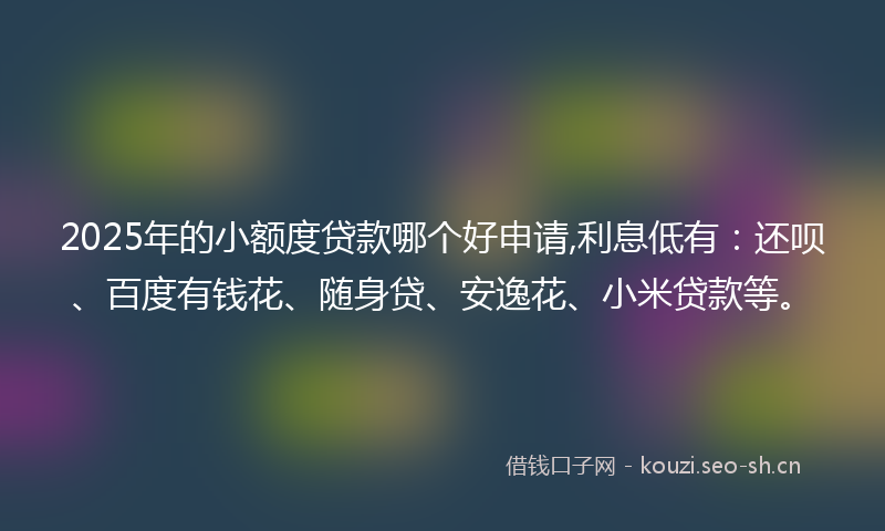 2025年的小额度贷款哪个好申请,利息低有：还呗、百度有钱花、随身贷、安逸花、小米贷款等。