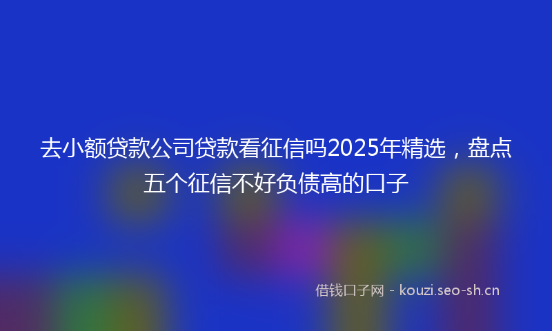 去小额贷款公司贷款看征信吗2025年精选，盘点五个征信不好负债高的口子