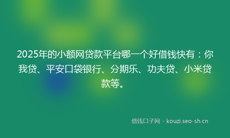 2025年的小额网贷款平台哪一个好借钱快有：你我贷、平安口袋银行、分期乐、功夫贷、小米贷款等。