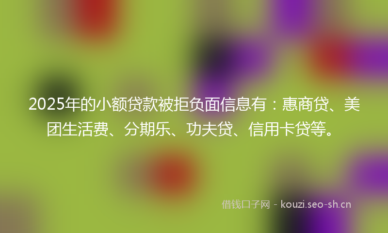 2025年的小额贷款被拒负面信息有：惠商贷、美团生活费、分期乐、功夫贷、信用卡贷等。