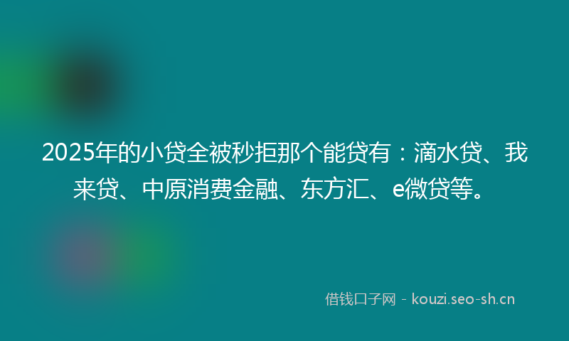 2025年的小贷全被秒拒那个能贷有:滴水贷、我来贷、中原消费金融、东方汇、e微贷等。