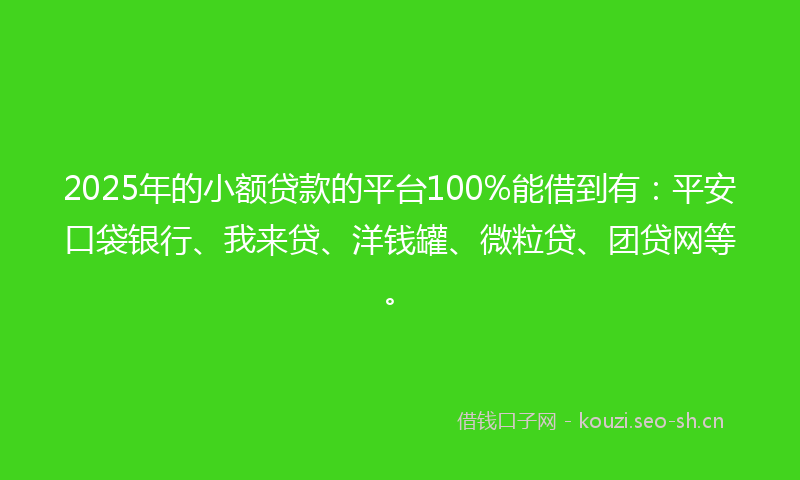 2025年的小额贷款的平台100%能借到有：平安口袋银行、我来贷、洋钱罐、微粒贷、团贷网等。