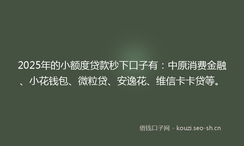 2025年的小额度贷款秒下口子有：中原消费金融、小花钱包、微粒贷、安逸花、维信卡卡贷等。