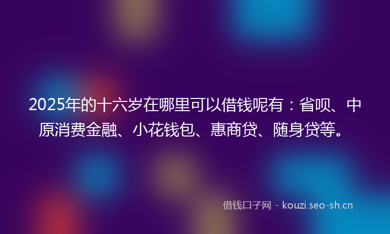 2025年的十六岁在哪里可以借钱呢有：省呗、中原消费金融、小花钱包、惠商贷、随身贷等。
