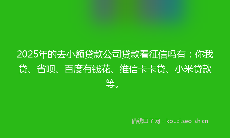2025年的去小额贷款公司贷款看征信吗有：你我贷、省呗、百度有钱花、维信卡卡贷、小米贷款等。