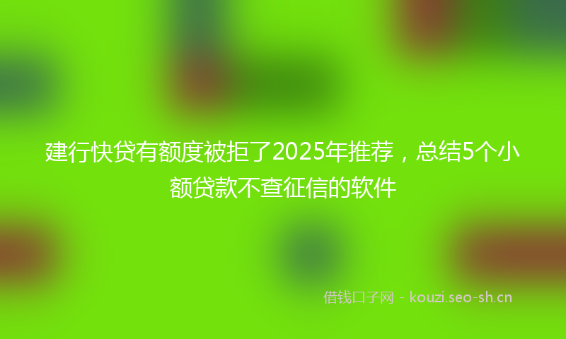 建行快贷有额度被拒了2025年推荐，总结5个小额贷款不查征信的软件