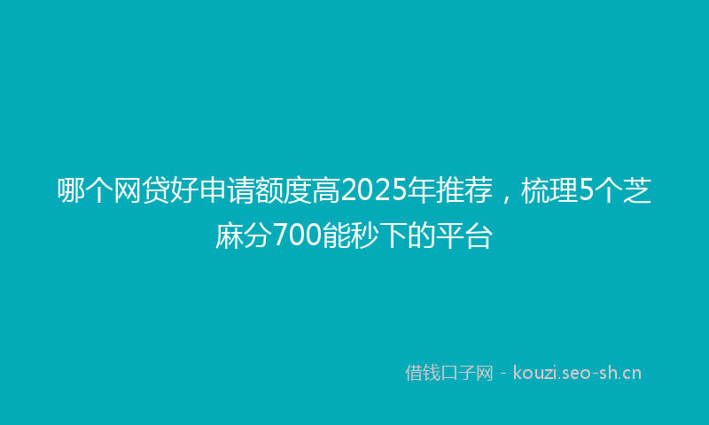 哪个网贷好申请额度高2025年推荐，梳理5个芝麻分700能秒下的平台
