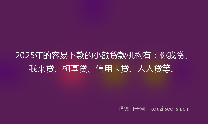 2025年的容易下款的小额贷款机构有：你我贷、我来贷、柯基贷、信用卡贷、人人贷等。