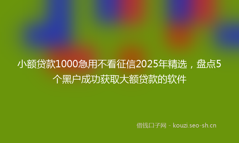 小额贷款1000急用不看征信2025年精选，盘点5个黑户成功获取大额贷款的软件