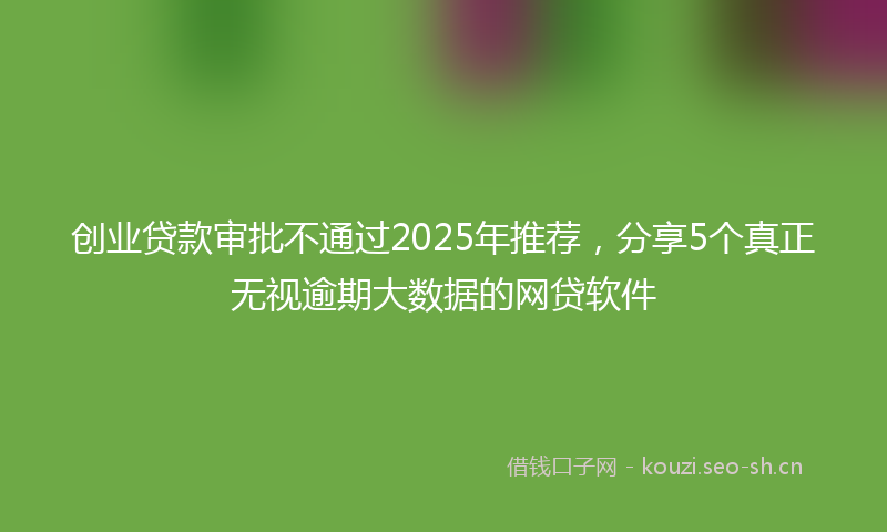 创业贷款审批不通过2025年推荐，分享5个真正无视逾期大数据的网贷软件