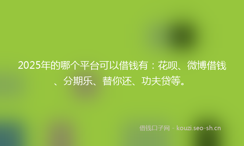 2025年的哪个平台可以借钱有：花呗、微博借钱、分期乐、替你还、功夫贷等。