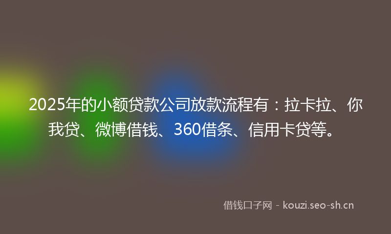 2025年的小额贷款公司放款流程有：拉卡拉、你我贷、微博借钱、360借条、信用卡贷等。