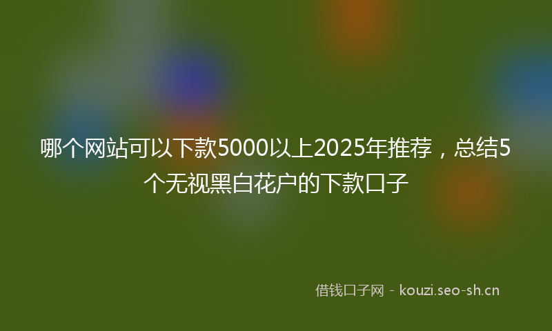 哪个网站可以下款5000以上2025年推荐，总结5个无视黑白花户的下款口子