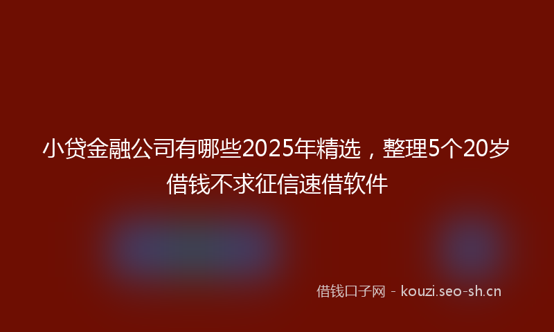 小贷金融公司有哪些2025年精选，整理5个20岁借钱不求征信速借软件