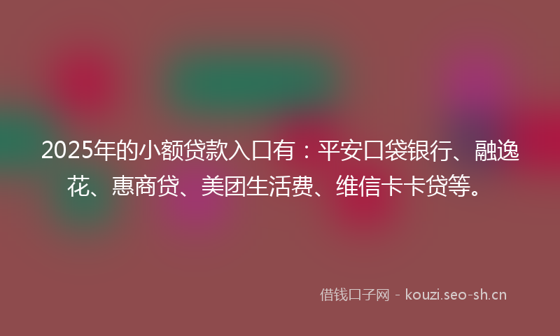 2025年的小额贷款入口有：平安口袋银行、融逸花、惠商贷、美团生活费、维信卡卡贷等。