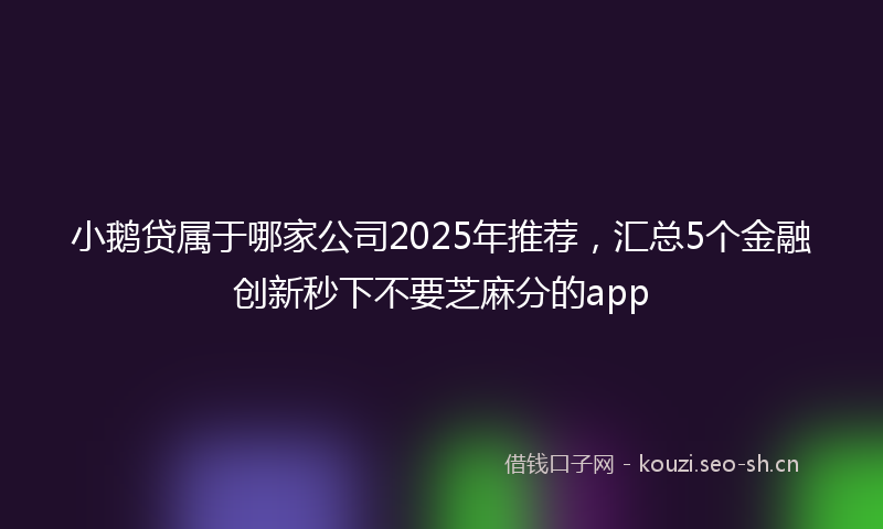 小鹅贷属于哪家公司2025年推荐，汇总5个金融创新秒下不要芝麻分的app