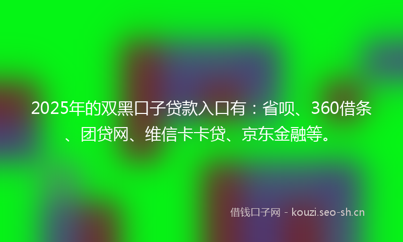 2025年的双黑口子贷款入口有：省呗、360借条、团贷网、维信卡卡贷、京东金融等。