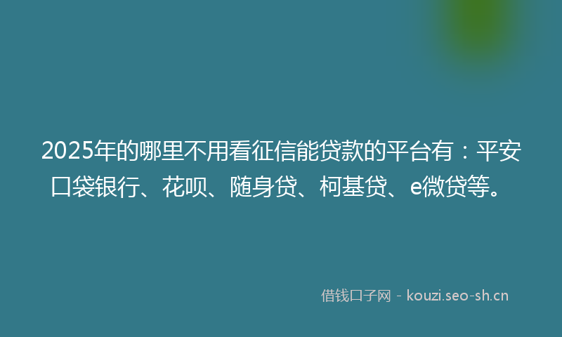 2025年的哪里不用看征信能贷款的平台有:平安口袋银行、花呗、随身贷、柯基贷、e微贷等。