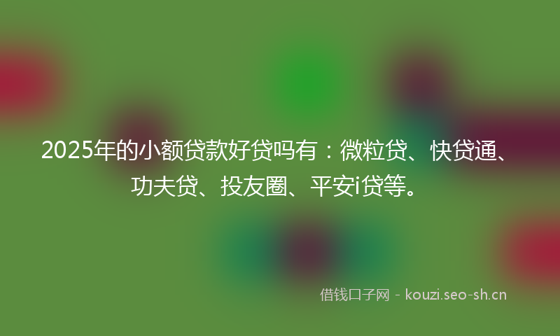 2025年的小额贷款好贷吗有:微粒贷、快贷通、功夫贷、投友圈、平安i贷等。