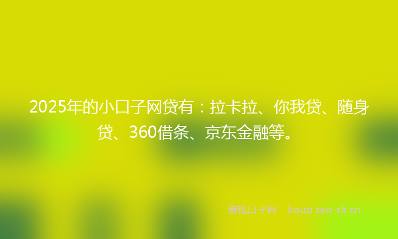 2025年的小口子网贷有：拉卡拉、你我贷、随身贷、360借条、京东金融等。