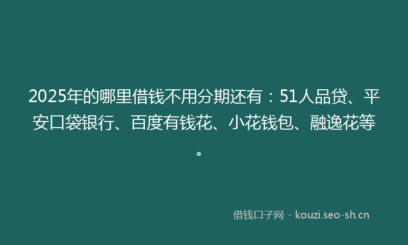 2025年的哪里借钱不用分期还有：51人品贷、平安口袋银行、百度有钱花、小花钱包、融逸花等。
