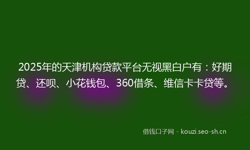 2025年的天津机构贷款平台无视黑白户有：好期贷、还呗、小花钱包、360借条、维信卡卡贷等。