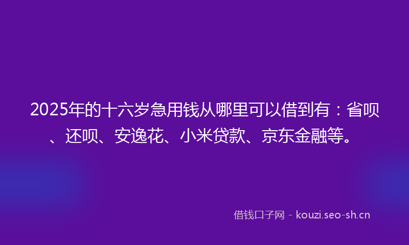 2025年的十六岁急用钱从哪里可以借到有：省呗、还呗、安逸花、小米贷款、京东金融等。