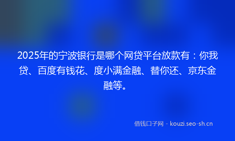 2025年的宁波银行是哪个网贷平台放款有：你我贷、百度有钱花、度小满金融、替你还、京东金融等。