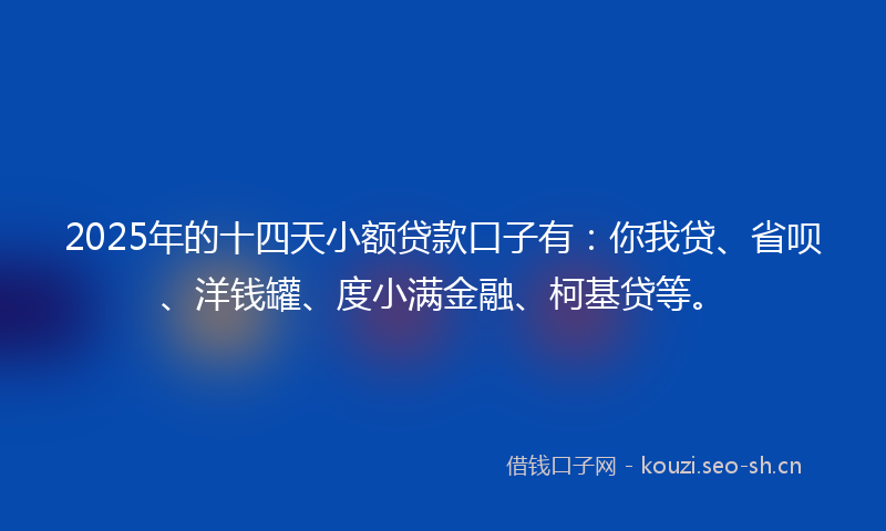 2025年的十四天小额贷款口子有：你我贷、省呗、洋钱罐、度小满金融、柯基贷等。