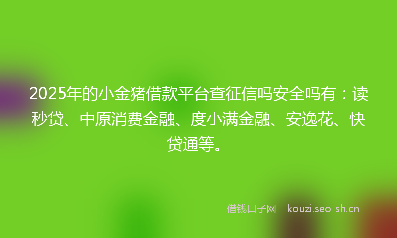 2025年的小金猪借款平台查征信吗安全吗有：读秒贷、中原消费金融、度小满金融、安逸花、快贷通等。