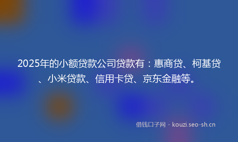 2025年的小额贷款公司贷款有：惠商贷、柯基贷、小米贷款、信用卡贷、京东金融等。