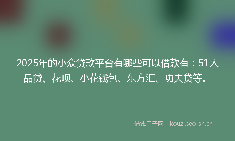 2025年的小众贷款平台有哪些可以借款有：51人品贷、花呗、小花钱包、东方汇、功夫贷等。
