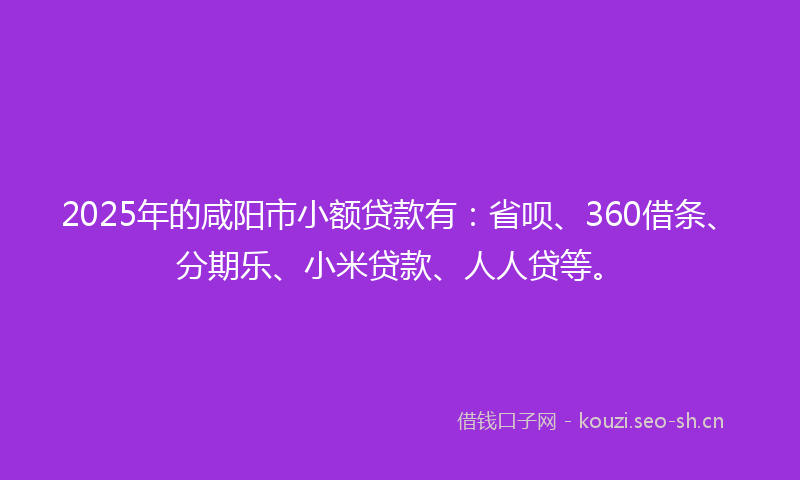 2025年的咸阳市小额贷款有：省呗、360借条、分期乐、小米贷款、人人贷等。