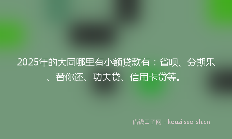 2025年的大同哪里有小额贷款有：省呗、分期乐、替你还、功夫贷、信用卡贷等。