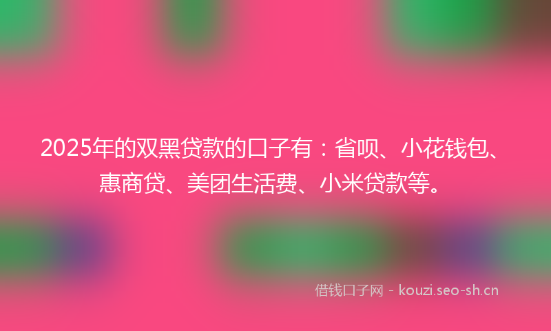 2025年的双黑贷款的口子有：省呗、小花钱包、惠商贷、美团生活费、小米贷款等。