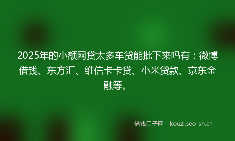 2025年的小额网贷太多车贷能批下来吗有：微博借钱、东方汇、维信卡卡贷、小米贷款、京东金融等。