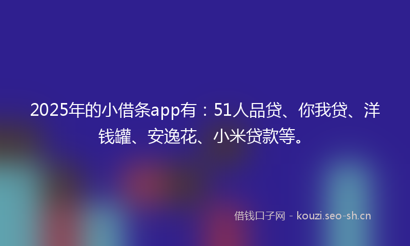 2025年的小借条app有：51人品贷、你我贷、洋钱罐、安逸花、小米贷款等。