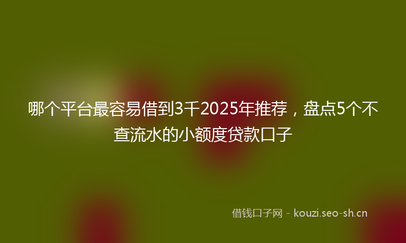 哪个平台最容易借到3千2025年推荐，盘点5个不查流水的小额度贷款口子