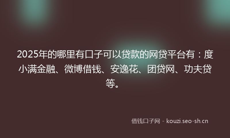 2025年的哪里有口子可以贷款的网贷平台有：度小满金融、微博借钱、安逸花、团贷网、功夫贷等。