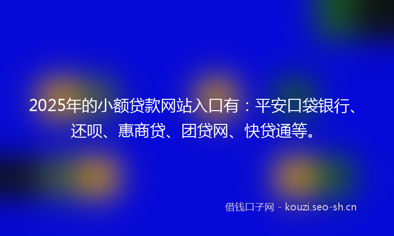 2025年的小额贷款网站入口有：平安口袋银行、还呗、惠商贷、团贷网、快贷通等。