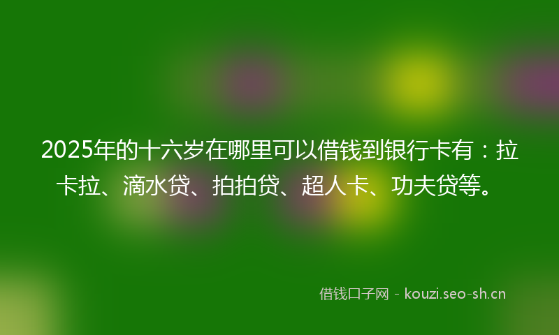 2025年的十六岁在哪里可以借钱到银行卡有：拉卡拉、滴水贷、拍拍贷、超人卡、功夫贷等。