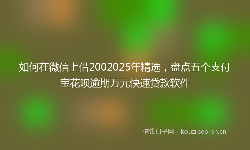 如何在微信上借2002025年精选，盘点五个支付宝花呗逾期万元快速贷款软件