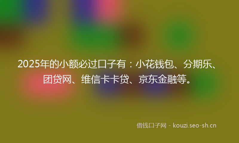 2025年的小额必过口子有：小花钱包、分期乐、团贷网、维信卡卡贷、京东金融等。