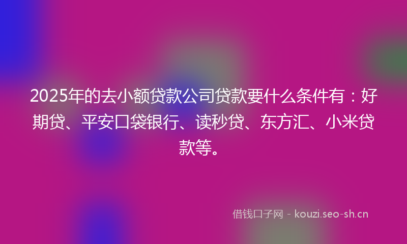 2025年的去小额贷款公司贷款要什么条件有：好期贷、平安口袋银行、读秒贷、东方汇、小米贷款等。