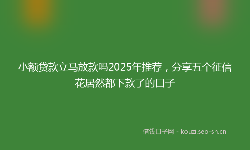 小额贷款立马放款吗2025年推荐，分享五个征信花居然都下款了的口子