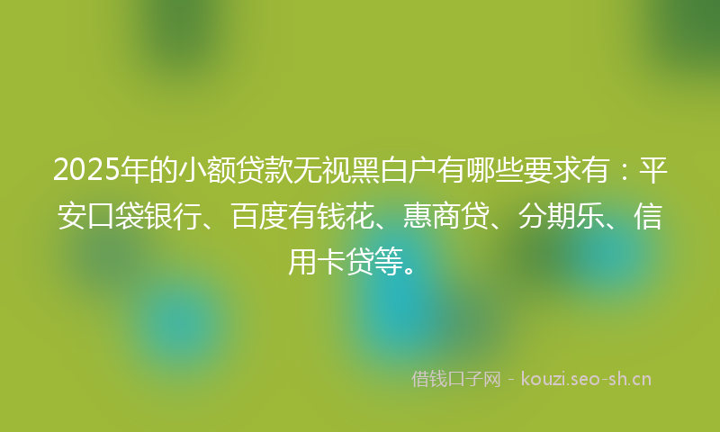 2025年的小额贷款无视黑白户有哪些要求有：平安口袋银行、百度有钱花、惠商贷、分期乐、信用卡贷等。