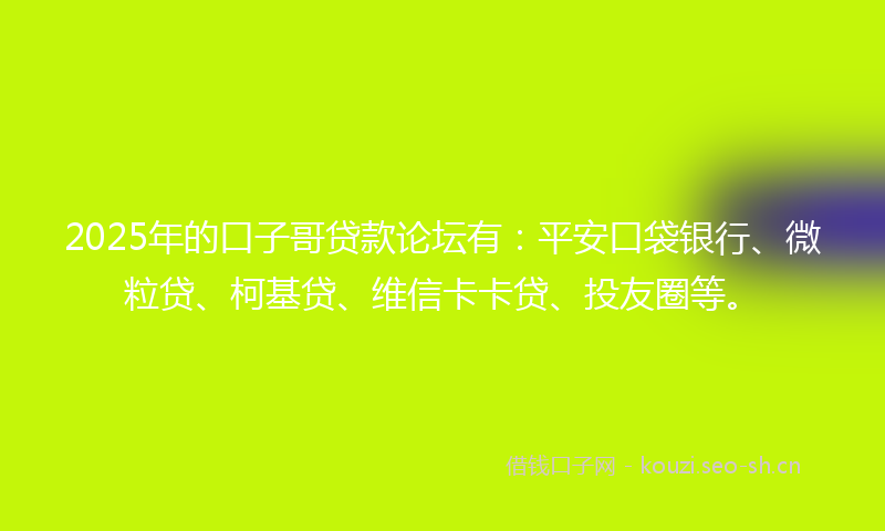 2025年的口子哥贷款论坛有：平安口袋银行、微粒贷、柯基贷、维信卡卡贷、投友圈等。