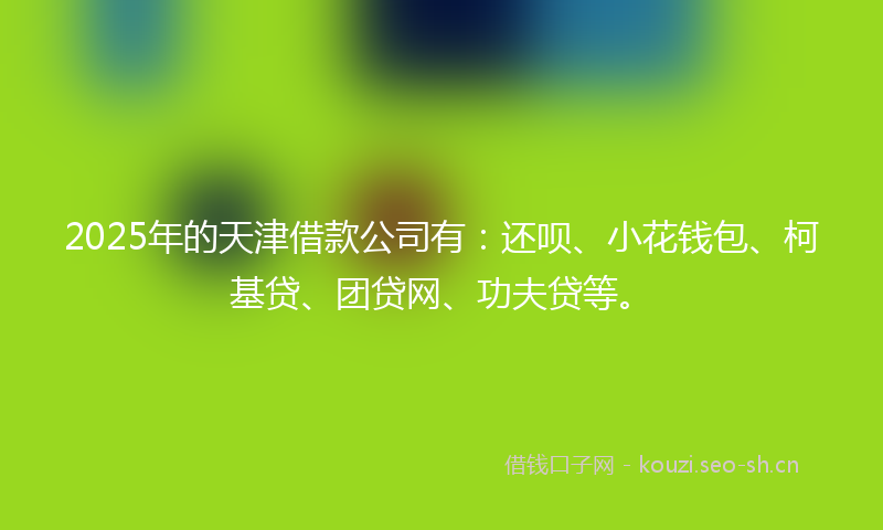 2025年的天津借款公司有：还呗、小花钱包、柯基贷、团贷网、功夫贷等。